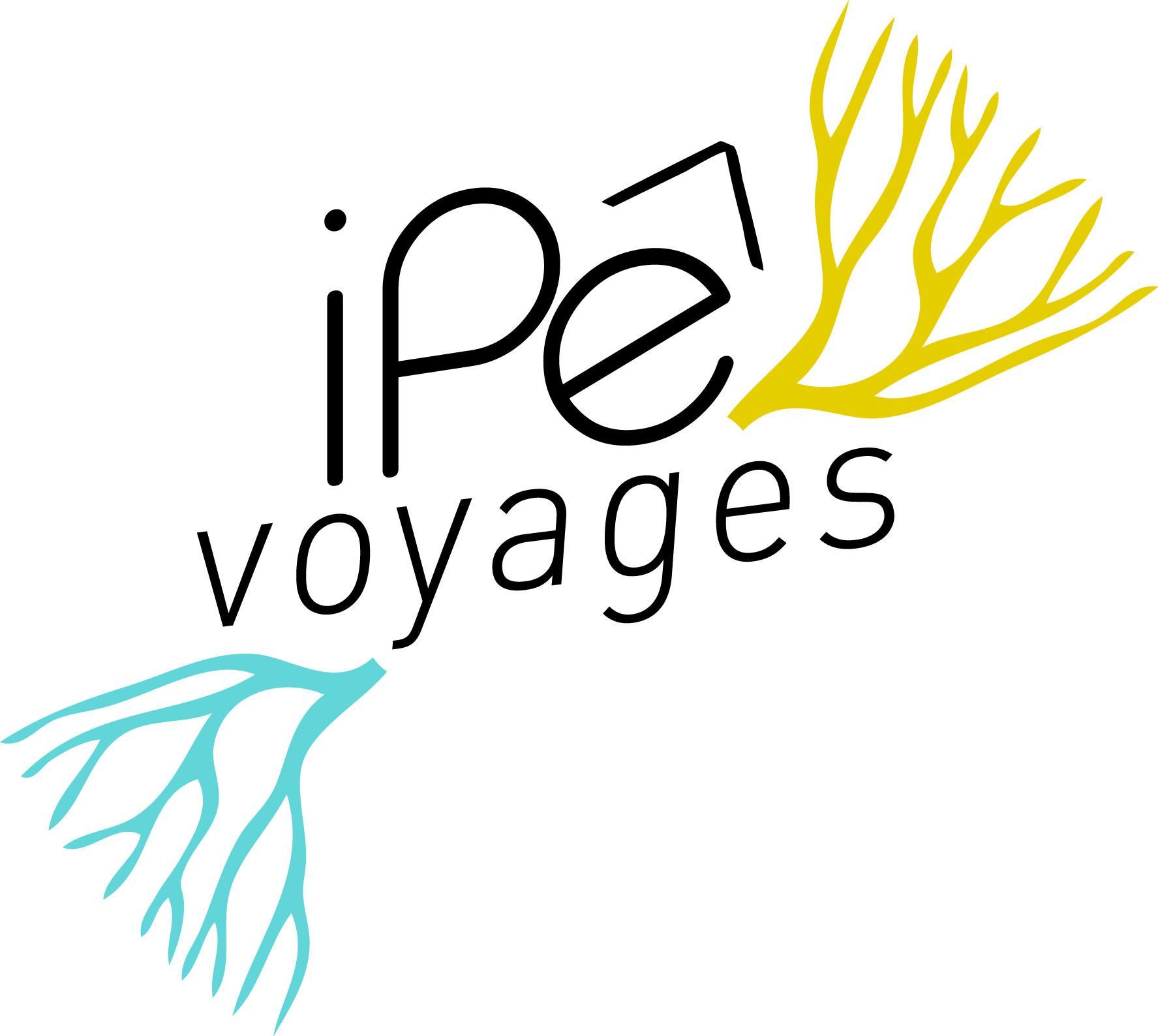 Ipê Voyages